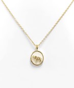  Elephant Color Coin Necklace
