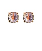  Tiger Earrings