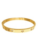  CZ Station Steel Bangle