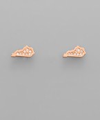  Paved CZ State Map Studs